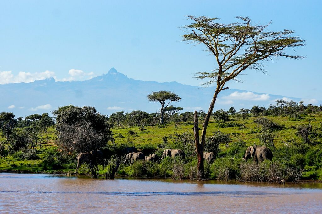 Kenya with Hekaya Travel