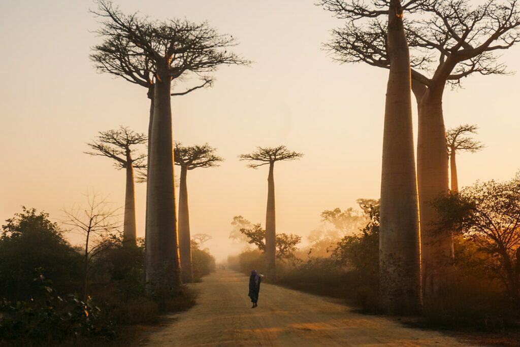 Anjajavy, Madagascar