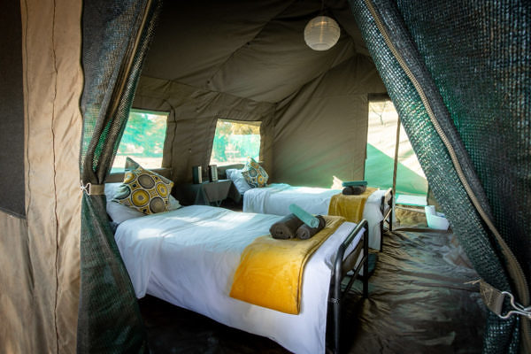 Pangolin-Mobile-Camp-1-1