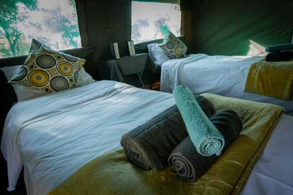 Pangolin-Mobile-Camp-1