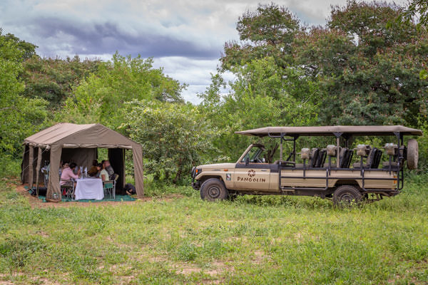 Pangolin-Mobile-Camp-mg-1371