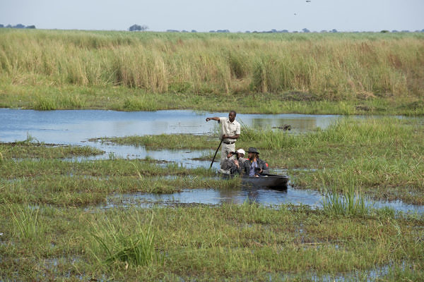 Linyanti-Bush-Camp-5-linyanti-bush-camps-chobe-enclave-botswanamokoro