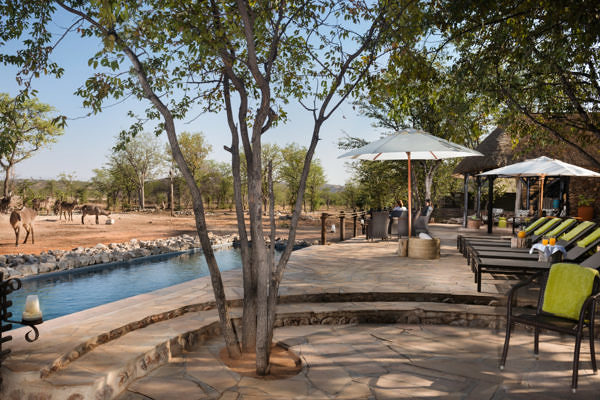 Ongava-Tented-Camp-oevans-5377t