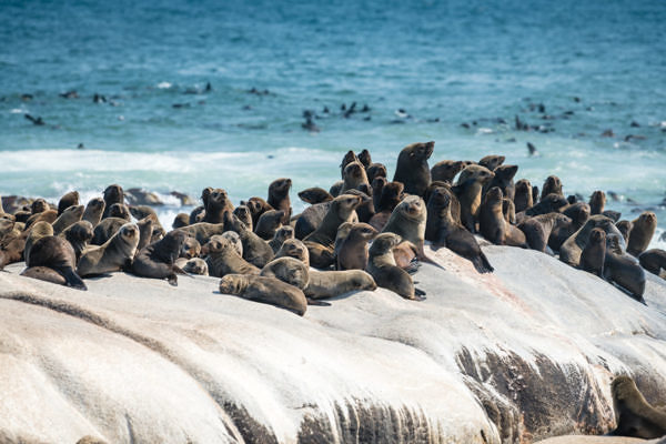 Kaokoland_Skeleton_Coast-shipwreck-rgb-133