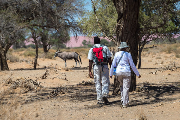 Little-Kulala-kulala-namib-2014-12-61e