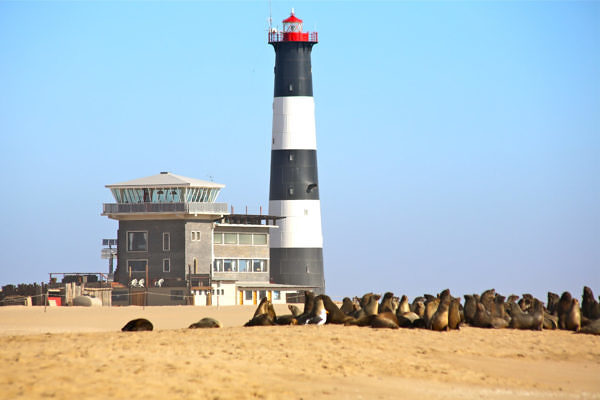 Pelican-Point-Walvis-Bay-p04a1141