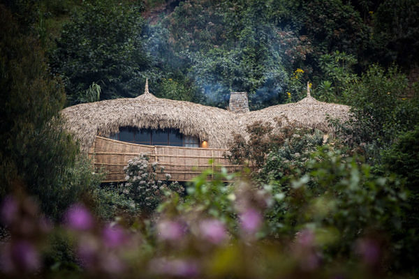 Bisate_Lodge-bisate-crookesandjackson-1451