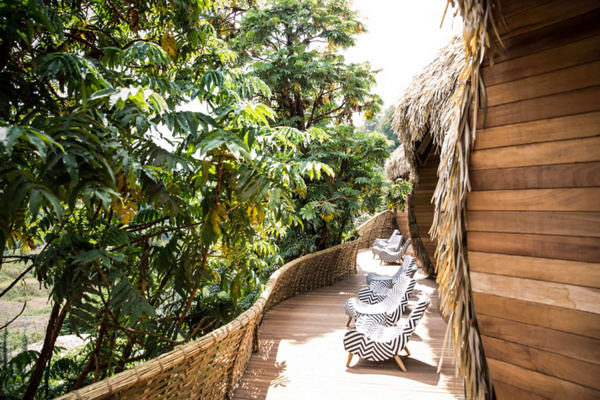 Bisate_Lodge-bisatelodge-14-resize