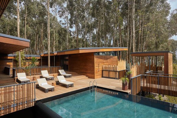 One_and_Only_Gorillas_Nest-oo-gorillasnest-pool-pool-wide-3117-master