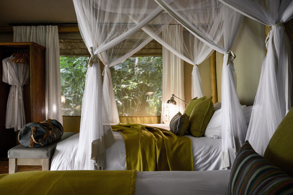 Sanctuary-Gorilla-Forest-Camp-dsc1858-21