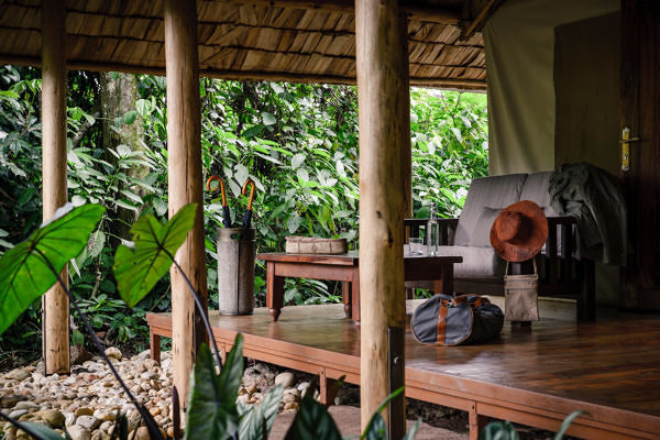 Sanctuary-Gorilla-Forest-Camp-dsc2870-11