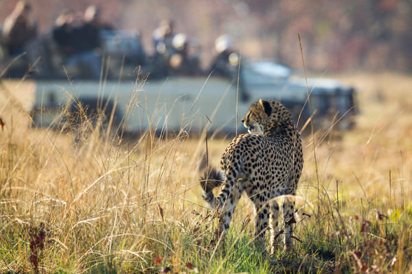 Kafue-willbl-busanga-57