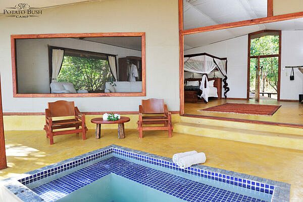 Potato-Bush-Camp-pbc-safari-tent-with-plunge-pool