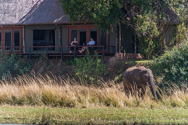 Royal-Zambezi-presidential-frontier-exterior-view-of-deck-with-elephant