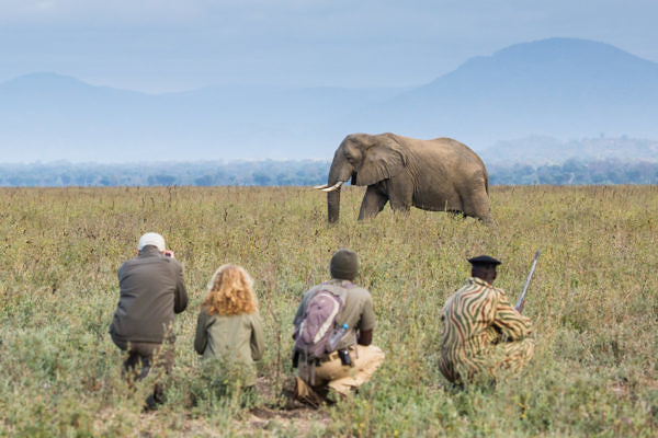 Lower_Zambezi-chiawa-and-om-copyright-scott-ramsay-wwwlovewildafricacom-320