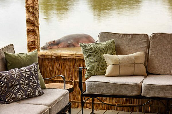 Kaingo-Camp-20-kaingo-main-deck-hippo-view