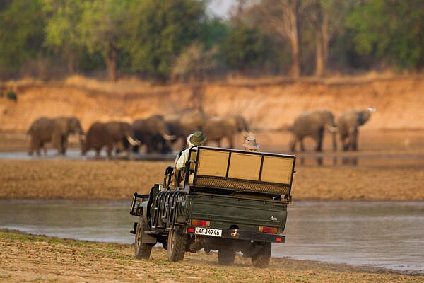 Kakuli-time-tide-south-luangwa-00058
