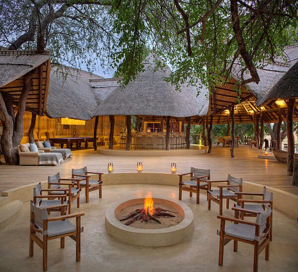 Lion-Camp-fire-pit