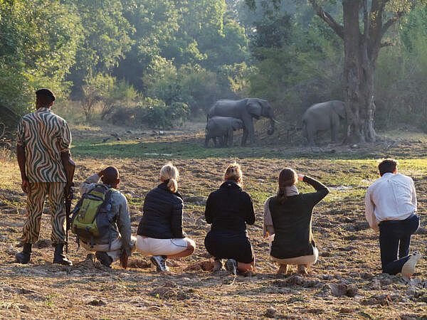 Nsolo-Lodge-time-tide-south-luangwa-00054