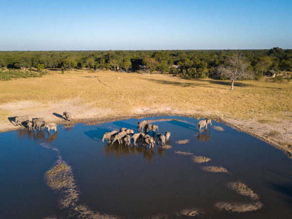 Hwange_National_Park-3-copy-of-little-makalolo-dana-allen-1