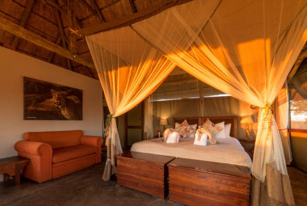 Camp_Hwange-5camp-hwange-28