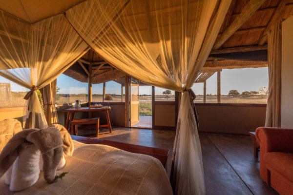Camp_Hwange-6-camp-hwange-31