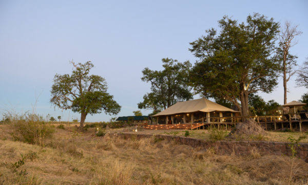 Deteema_Springs_Camp-201907-zimbabwe-2258