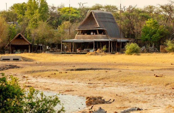The_Hide-2-cheetah-in-camp2