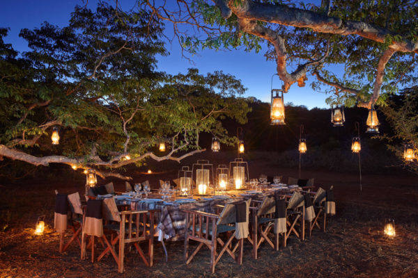 Pamushana-3-pamu-dinner-by-the-trees-flareless