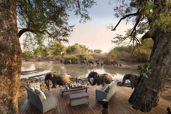Kanga_Camp-1-kanga-camp-elephants-walking-past-the-main-deck