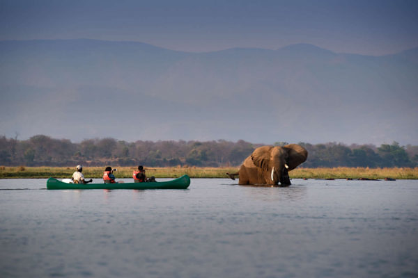 Nyamatusi_Camp-zambezi-expeditions-mana-pools-national-park-zimbabwe-safari-tented-camp-african-bush-camps-canoe-15