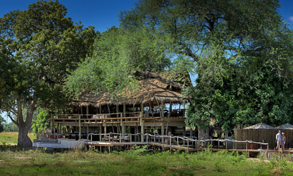 Nyamatusi_Mahogany-nyamatusi-pano5